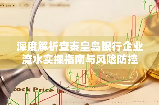 深度解析查秦皇岛银行企业流水实操指南与风险防控