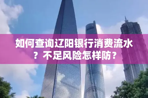 如何查询辽阳银行消费流水？不足风险怎样防？