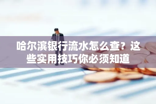 哈尔滨银行流水怎么查？这些实用技巧你必须知道