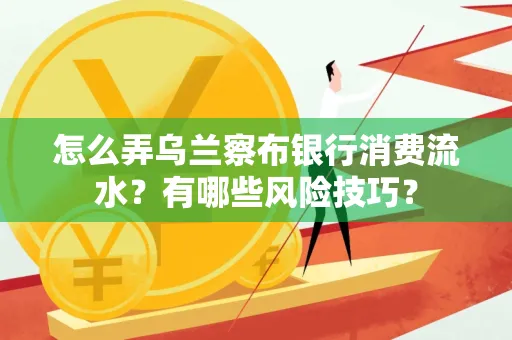 怎么弄乌兰察布银行消费流水？有哪些风险技巧？