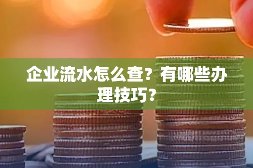 企业流水怎么查？有哪些办理技巧？