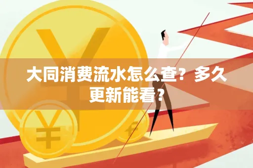 大同消费流水怎么查？多久更新能看？