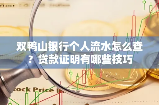 双鸭山银行个人流水怎么查？贷款证明有哪些技巧